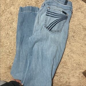 7 for all mankind dojo